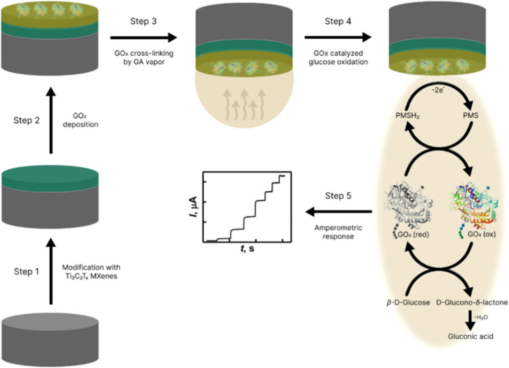 Diagram showing the development of the working electrode and the electrochemical measurement process used to determine glucose concentration