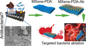 An in-depth analysis of the intrinsic antibacterial activity and photothermal therapeutic potential of MXene nanosheets An in-depth analysis of the intrinsic antibacterial activity and photothermal therapeutic potential of MXene nanosheets